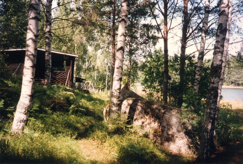 huvilakoivujenkatveessa3.jpg