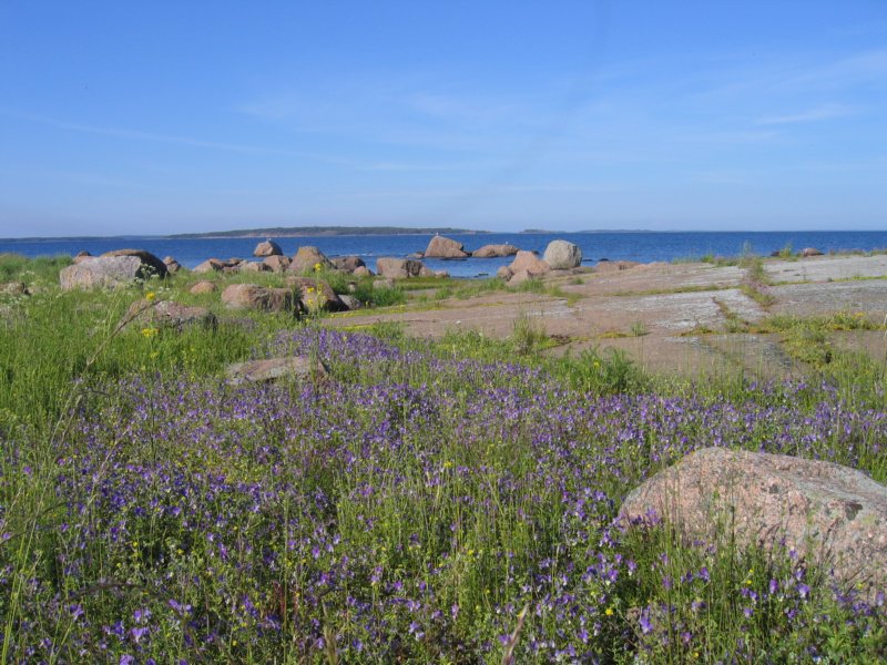 juhannus2004virolahdella033.jpg