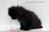 alluboyn55weeks98202423_small.jpg