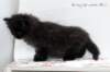 alluboyn55weeks98202430_small.jpg