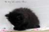 alluboyn55weeks9820247_small.jpg