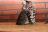eva10vi28320243jpg_small.jpg