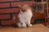 olli10vi283202419_small.jpg