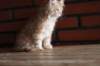ossi10vi2832024_small.jpg
