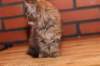 riia10vi283202410_small.jpg