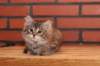 riia10vi283202412_small.jpg