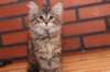 riia10vi28320246_small.jpg