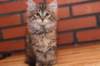 riia10vi28320247_small.jpg
