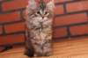 riia10vi28320248_small.jpg