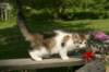 img_5036_small.jpg