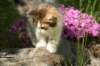 img_5042_small.jpg