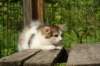 img_5059_small.jpg