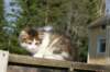 img_4376_small.jpg