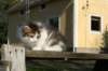 img_4377_small.jpg