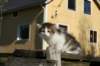 img_4379_small.jpg