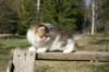 img_4383_small.jpg