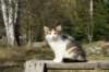img_4386_small.jpg