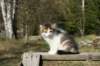 img_4387_small.jpg