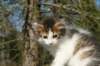 img_4398_small.jpg