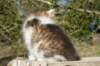 img_4399_small.jpg