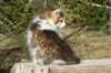 img_4400_small.jpg