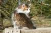 img_4402_small.jpg