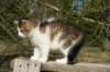 img_4421_small.jpg