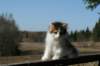 img_4438_small.jpg