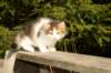 img_4444_small.jpg