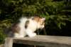 img_4446_small.jpg