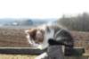 img_4456_small.jpg