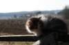 img_4460_small.jpg