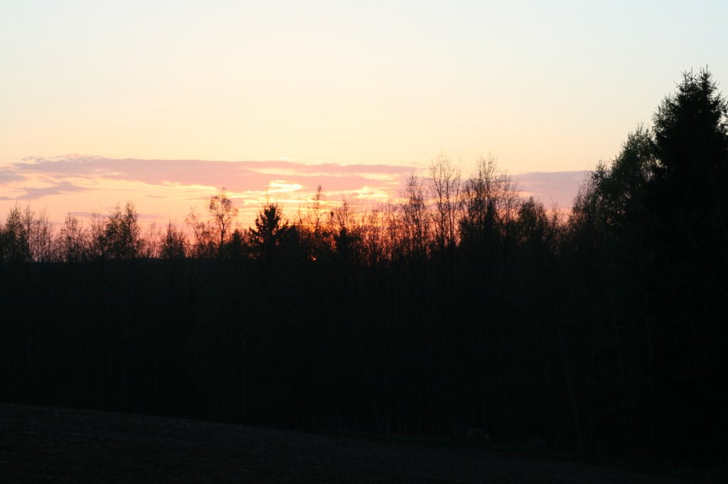 img_4516.jpg