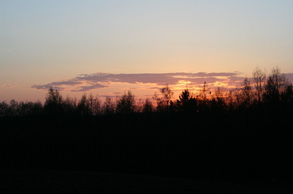 img_4520.jpg