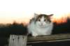 img_4558_small.jpg