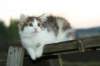 img_4560_small.jpg