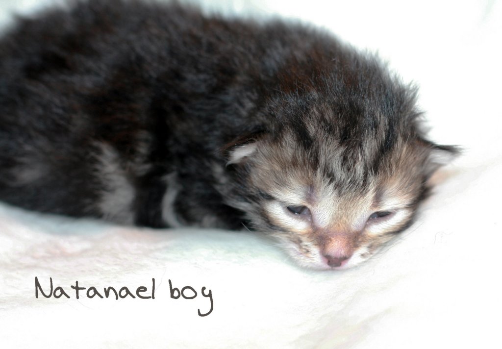 natanaelboy4.jpg
