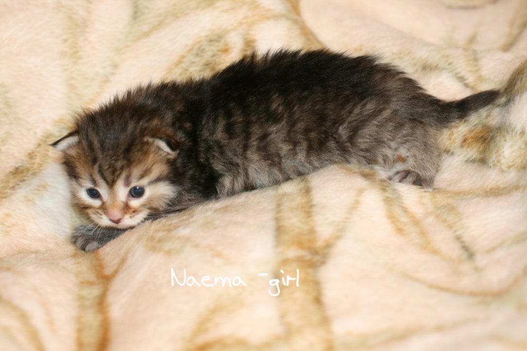 naemagirlimg_5894.jpg