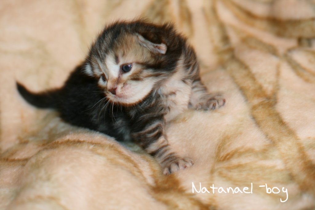natanaelboyimg_5908.jpg