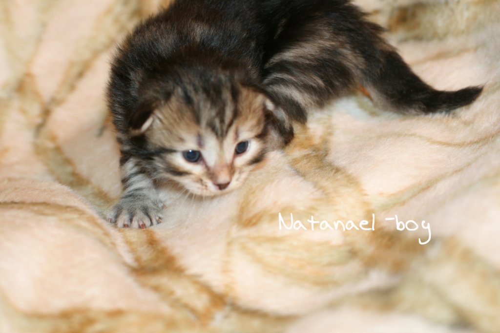 natanaelboyimg_5911.jpg