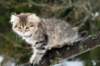 naema115weeks92201412_small.jpg