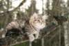 naema115weeks9220145_small.jpg