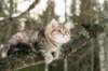 naema115weeks922014_small.jpg