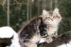 natanael115weeks9220148_small.jpg