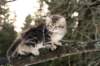 natanael115weeks922014_small.jpg