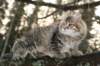 naatan115weeks92201412_small.jpg