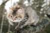 naatan115weeks92201417_small.jpg