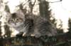 naatan115weeks92201427_small.jpg
