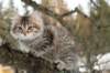 naatan115weeks92201432_small.jpg