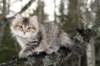 naatan115weeks92201439_small.jpg